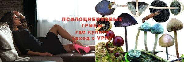 ешки Алексин
