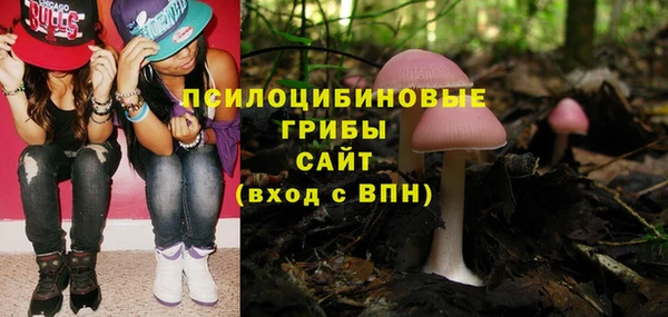 ешки Алексин