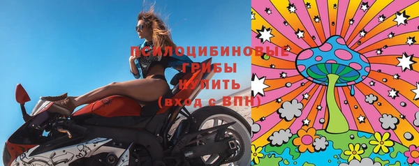 прущие грибы Белая Калитва