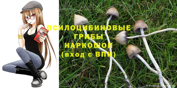mdpv Алзамай