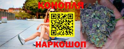 дживик Кингисепп