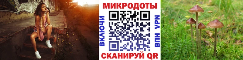 Псилоцибиновые грибы Psilocybe  что такое наркотик  Куйбышев 