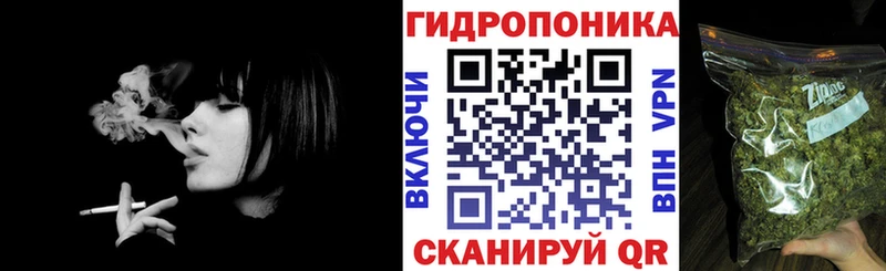 mega ТОР  Куйбышев  Бошки марихуана OG Kush 